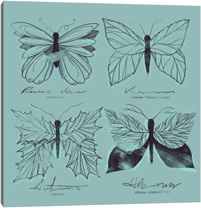 Seasons Change Canvas Art Print - Insect & Bug Art
