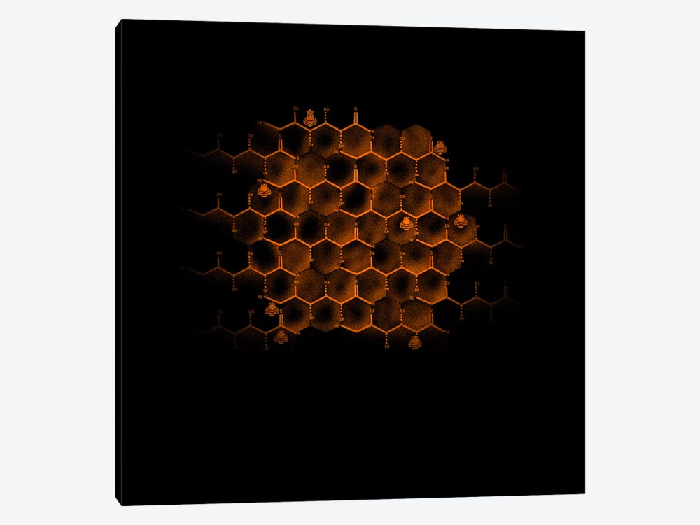 Glucose Hive by Tobias Fonseca 1-piece Canvas Wall Art