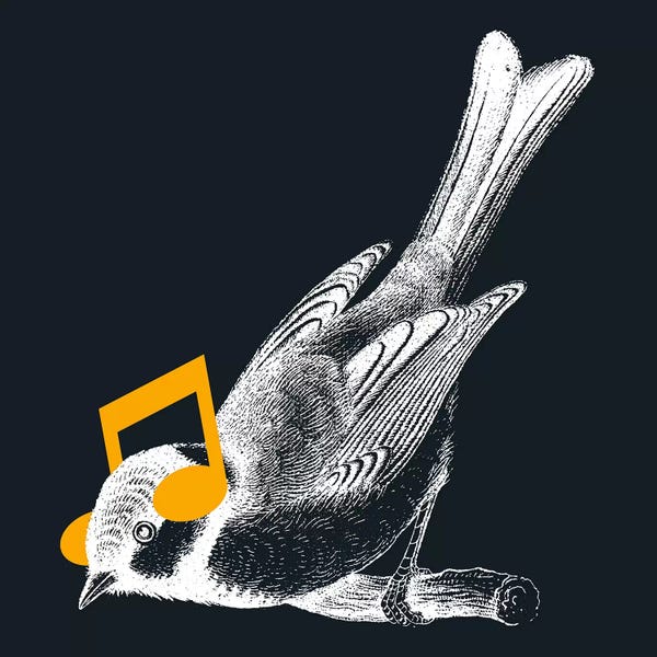 Music Notes: Listening To Your Heart by Tobias Fonseca