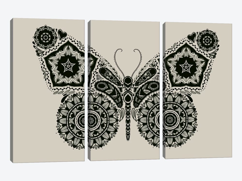 Ornamental Butterfly by Tobias Fonseca 3-piece Canvas Art Print