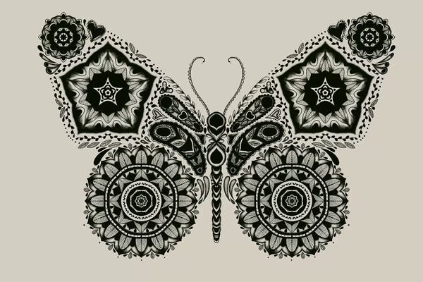 Tobias Fonseca: Ornamental Butterfly by Tobias Fonseca