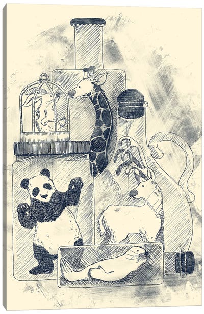Preservation Canvas Art Print - Panda Art