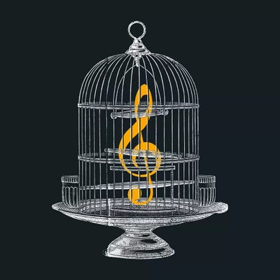 Set Me Free by Tobias Fonseca framed canvas print