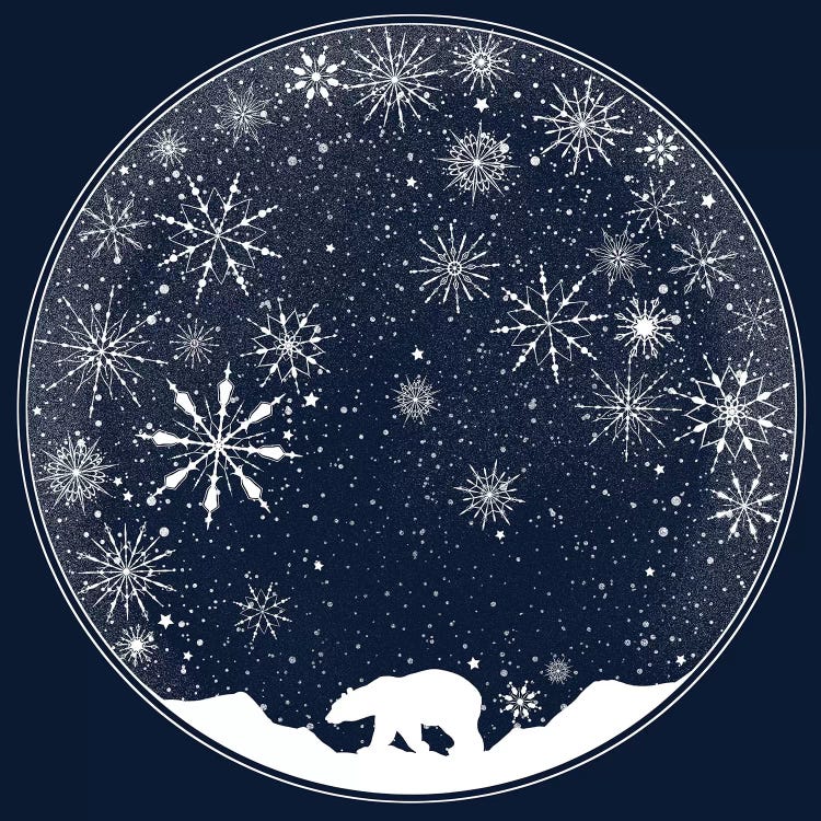 Snow Globe by Tobias Fonseca wall art