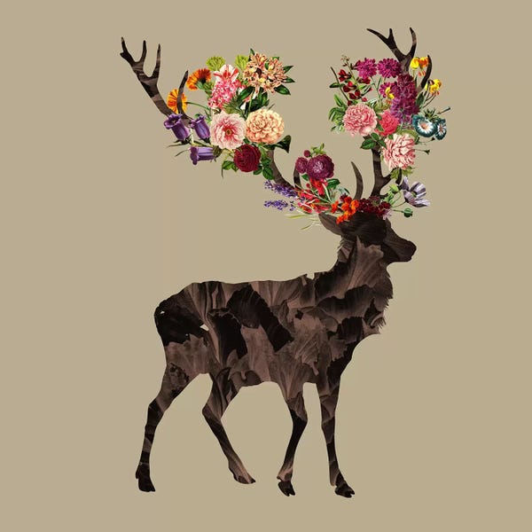 Antlers: Spring Itself by Tobias Fonseca