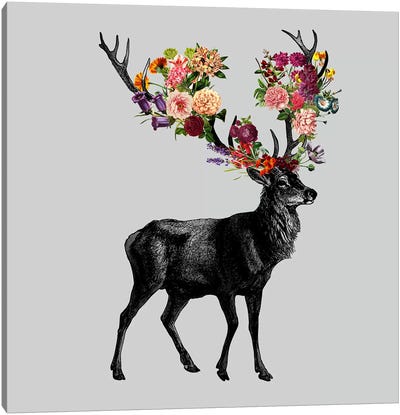 Sprint Itself (Deer Floral) Canvas Art Print - Tobias Fonseca