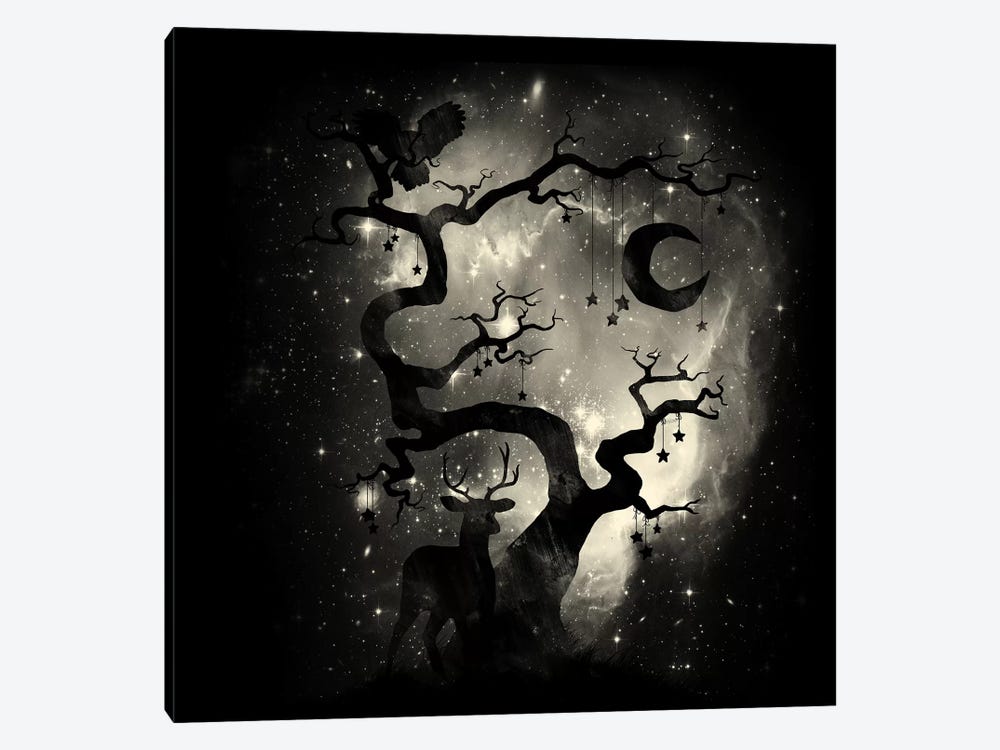 Stardust Forest by Tobias Fonseca 1-piece Canvas Art