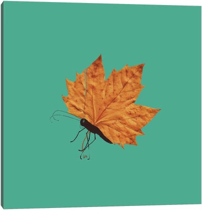 The Fall Canvas Art Print - Leaf Art