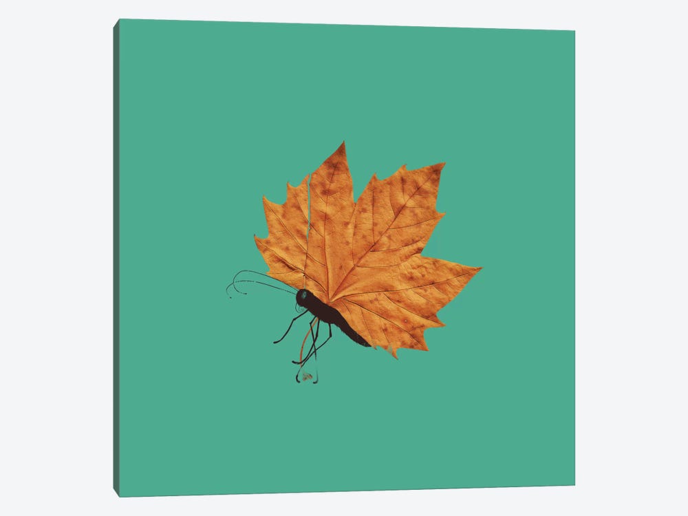 The Fall by Tobias Fonseca 1-piece Canvas Wall Art
