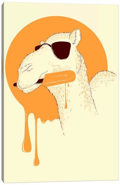 Summer Canvas Art Print - Camel Art
