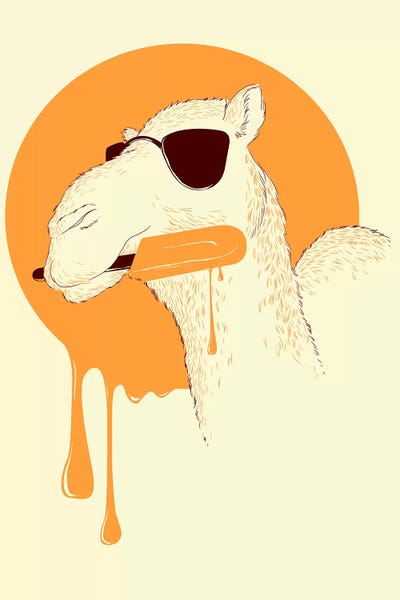 Camels: Summer by Tobias Fonseca