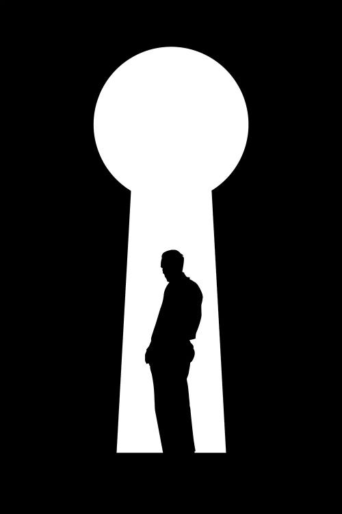 The Secret by Tobias Fonseca wall art