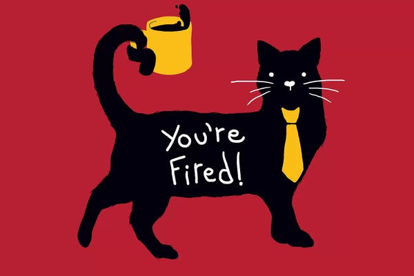 Tobias Fonseca: You're Fired by Tobias Fonseca