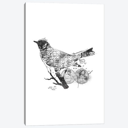 Bird Wanderlust, Rectangle Canvas Print #TFA282} by Tobias Fonseca Canvas Art Print