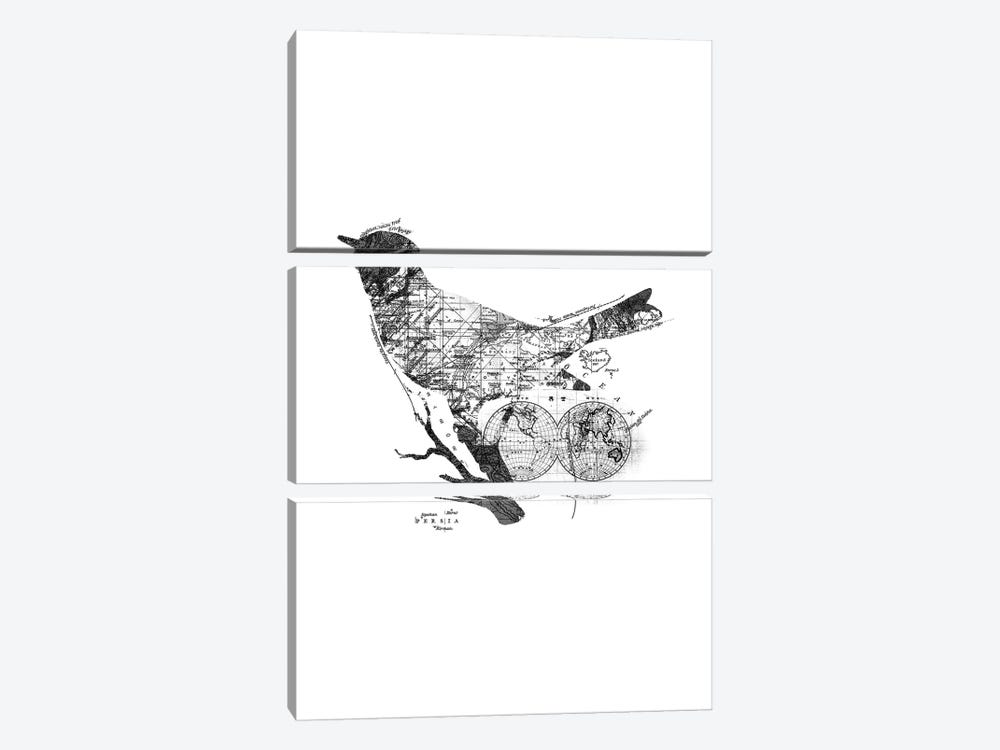 Bird Wanderlust, Rectangle by Tobias Fonseca 3-piece Canvas Artwork