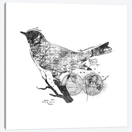 Bird Wanderlust, Square Canvas Print #TFA283} by Tobias Fonseca Art Print