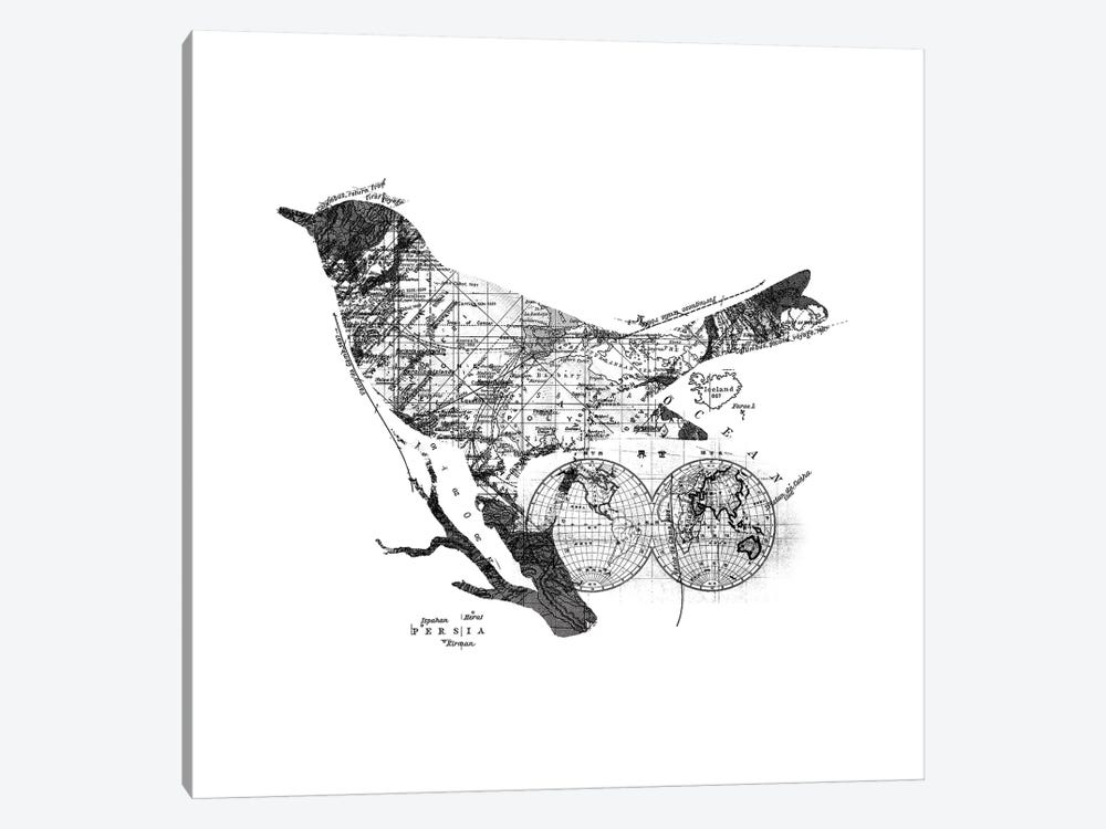 Bird Wanderlust, Square 1-piece Canvas Art Print