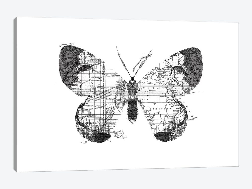 Butterfly Wanderlust, Rectangle by Tobias Fonseca 1-piece Canvas Art
