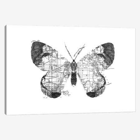Butterfly Wanderlust, Rectangle Canvas Print #TFA286} by Tobias Fonseca Canvas Artwork