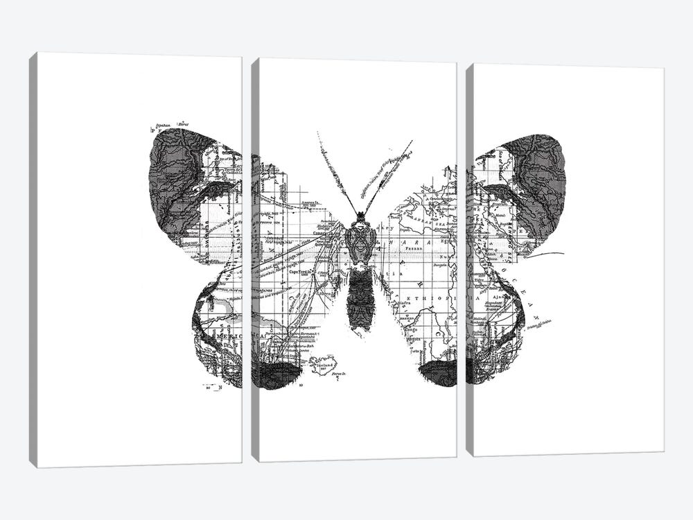 Butterfly Wanderlust, Rectangle by Tobias Fonseca 3-piece Canvas Wall Art