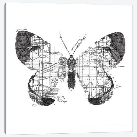 Butterfly Wanderlust, Square Canvas Print #TFA287} by Tobias Fonseca Canvas Art