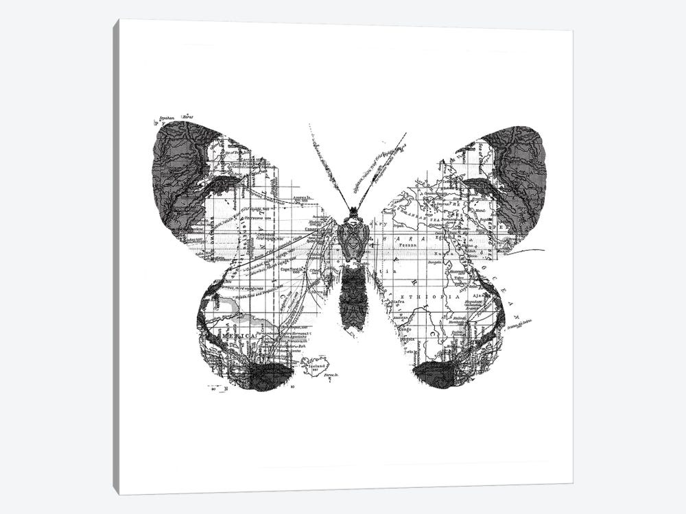Butterfly Wanderlust, Square by Tobias Fonseca 1-piece Canvas Print