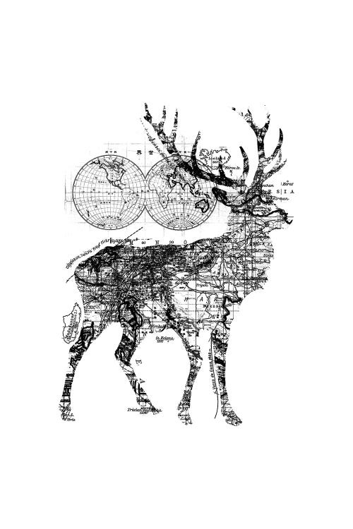 Deer Wanderlust, Rectangle