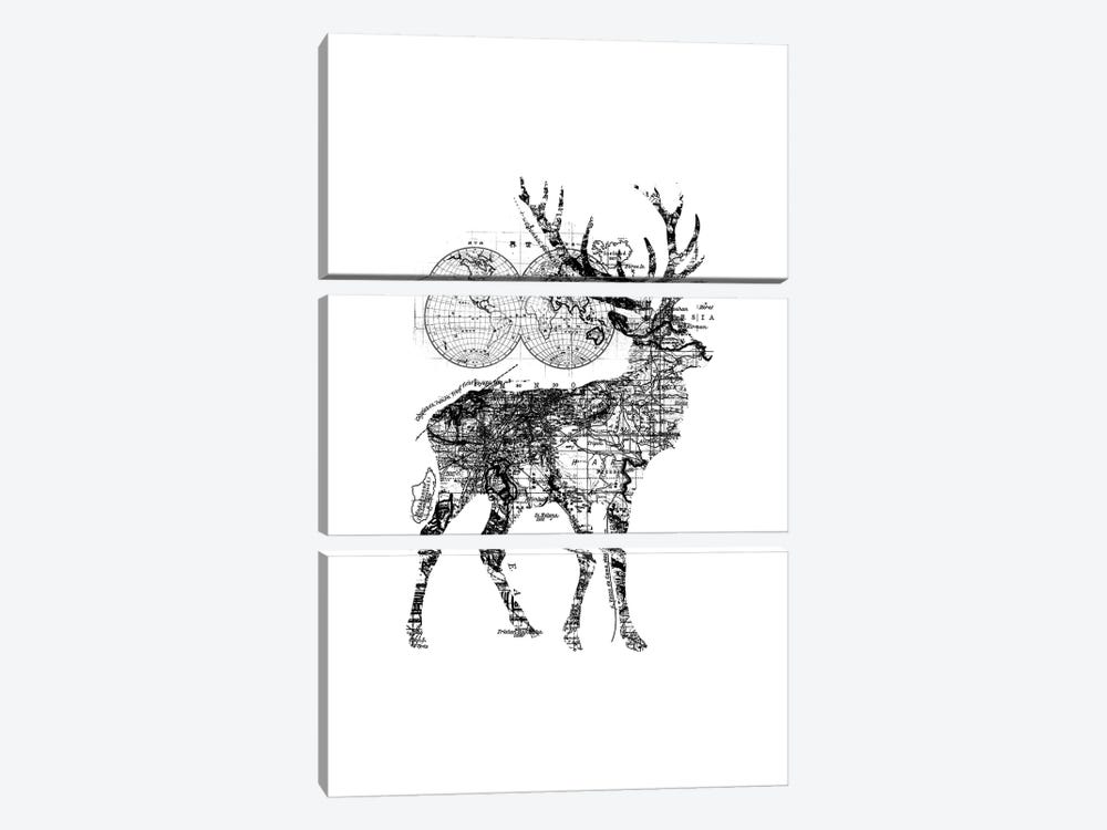 Deer Wanderlust, Rectangle by Tobias Fonseca 3-piece Canvas Art Print