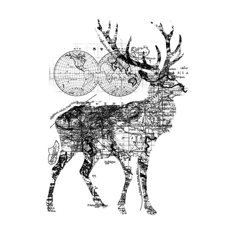 Deer Wanderlust, Square