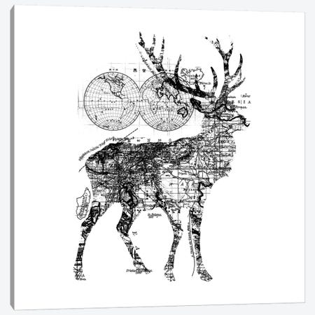 Deer Wanderlust, Square Canvas Print #TFA291} by Tobias Fonseca Canvas Art