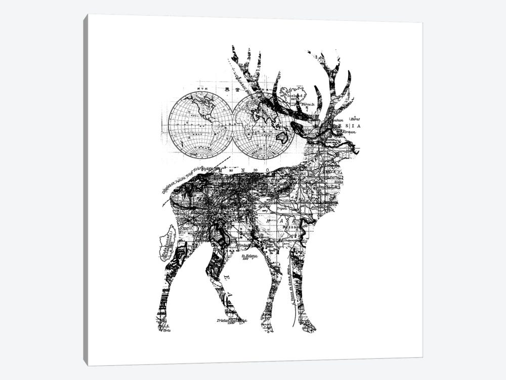 Deer Wanderlust, Square by Tobias Fonseca 1-piece Canvas Artwork