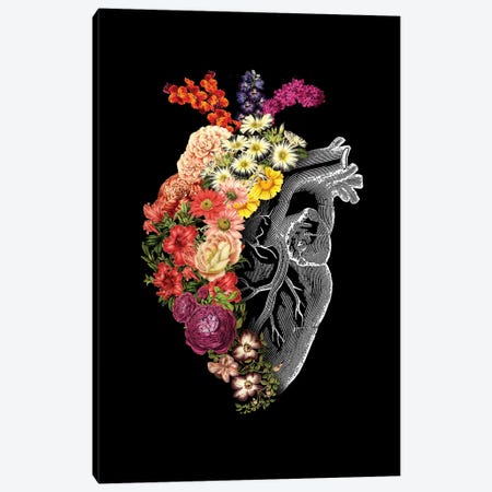 Flower Heart Spring, Rectangle Canvas Print #TFA292} by Tobias Fonseca Canvas Artwork