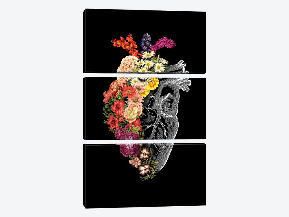 Flower Heart Spring, Rectangle by Tobias Fonseca 3-piece Canvas Art Print