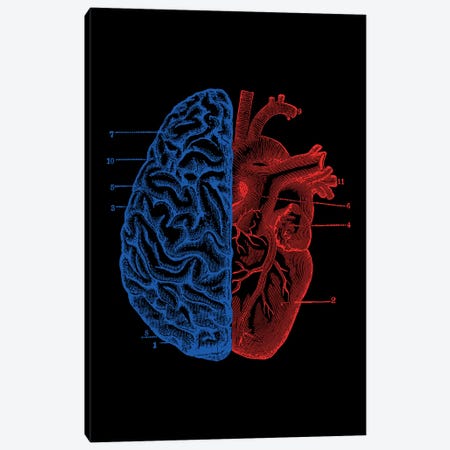Heart And Brain, Rectangle Canvas Print #TFA296} by Tobias Fonseca Canvas Print