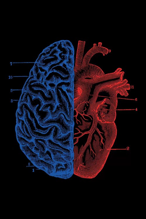 Heart And Brain, Rectangle