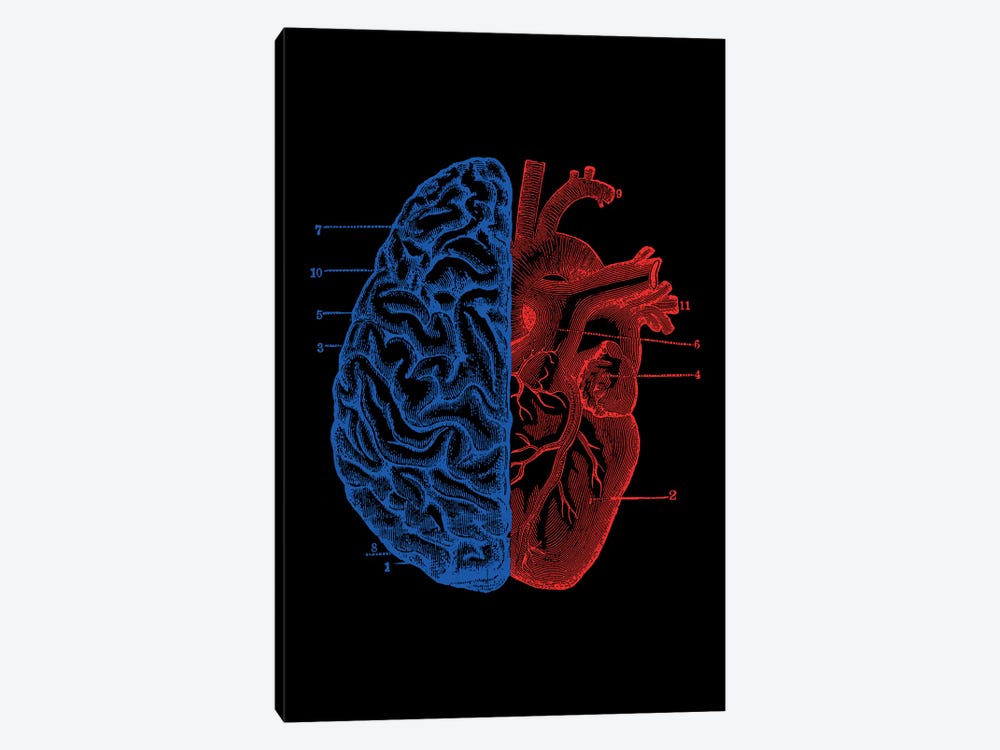 Heart And Brain, Rectangle by Tobias Fonseca 1-piece Art Print