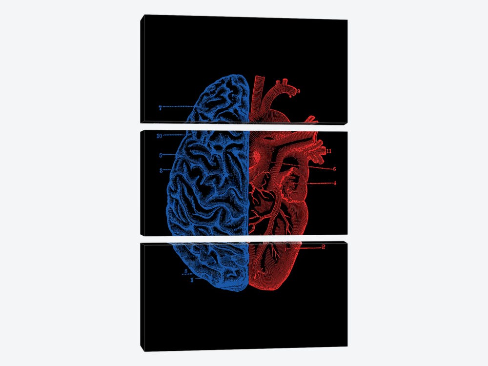 Heart And Brain, Rectangle by Tobias Fonseca 3-piece Canvas Art Print