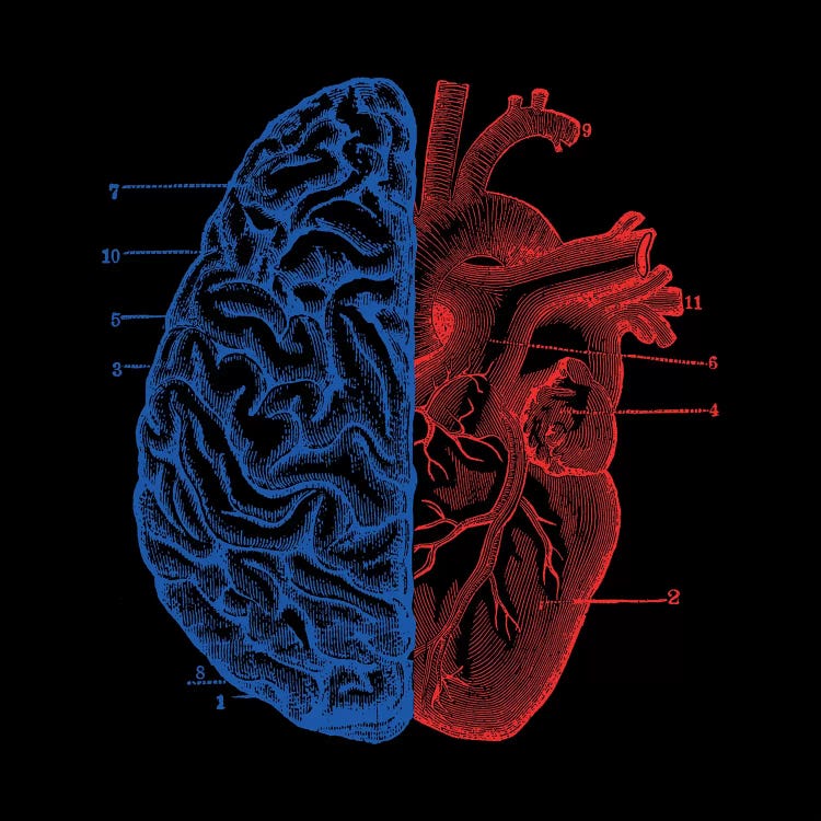 Heart And Brain, Square