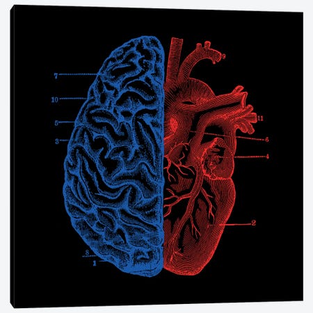 Heart And Brain, Square Canvas Print #TFA297} by Tobias Fonseca Canvas Print