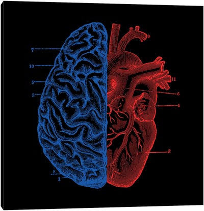 Heart And Brain, Square Canvas Art Print - Tobias Fonseca