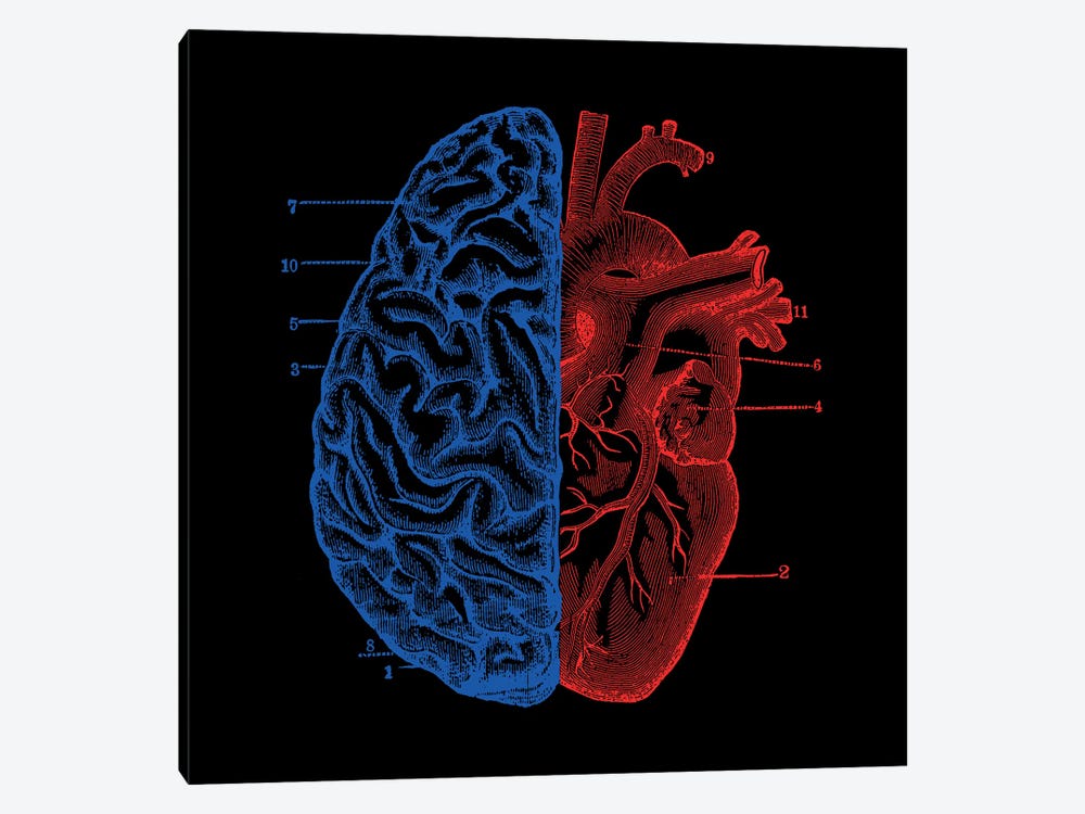 Heart And Brain, Square by Tobias Fonseca 1-piece Canvas Wall Art