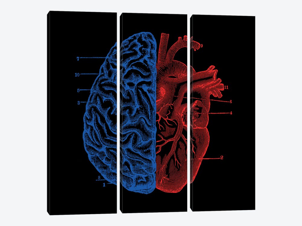 Heart And Brain, Square by Tobias Fonseca 3-piece Canvas Artwork
