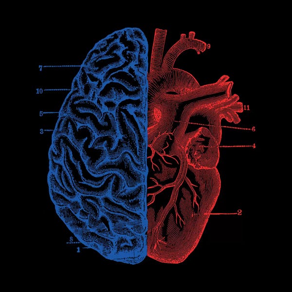 Hearts: Heart And Brain, Square by Tobias Fonseca