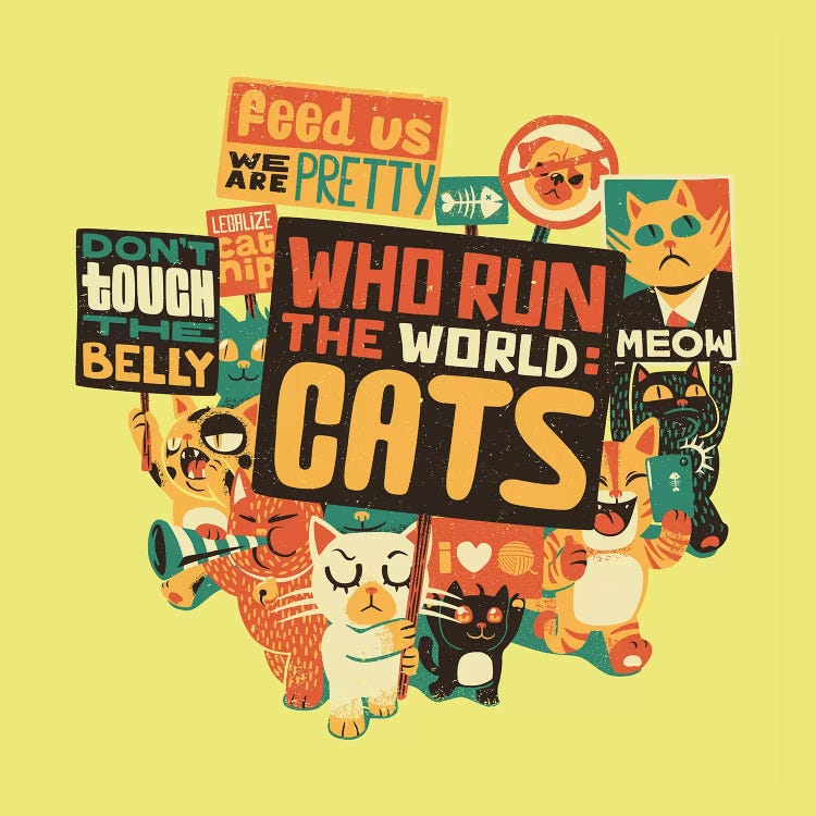 Who Run The World: Cats, Square