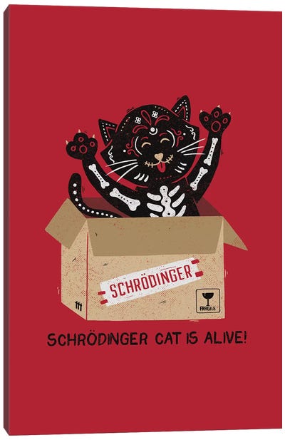 Am I Alive? Schrödinger Cat Canvas Art Print - Black Cat Art