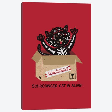 Am I Alive? Schrödinger Cat Canvas Print #TFA307} by Tobias Fonseca Art Print