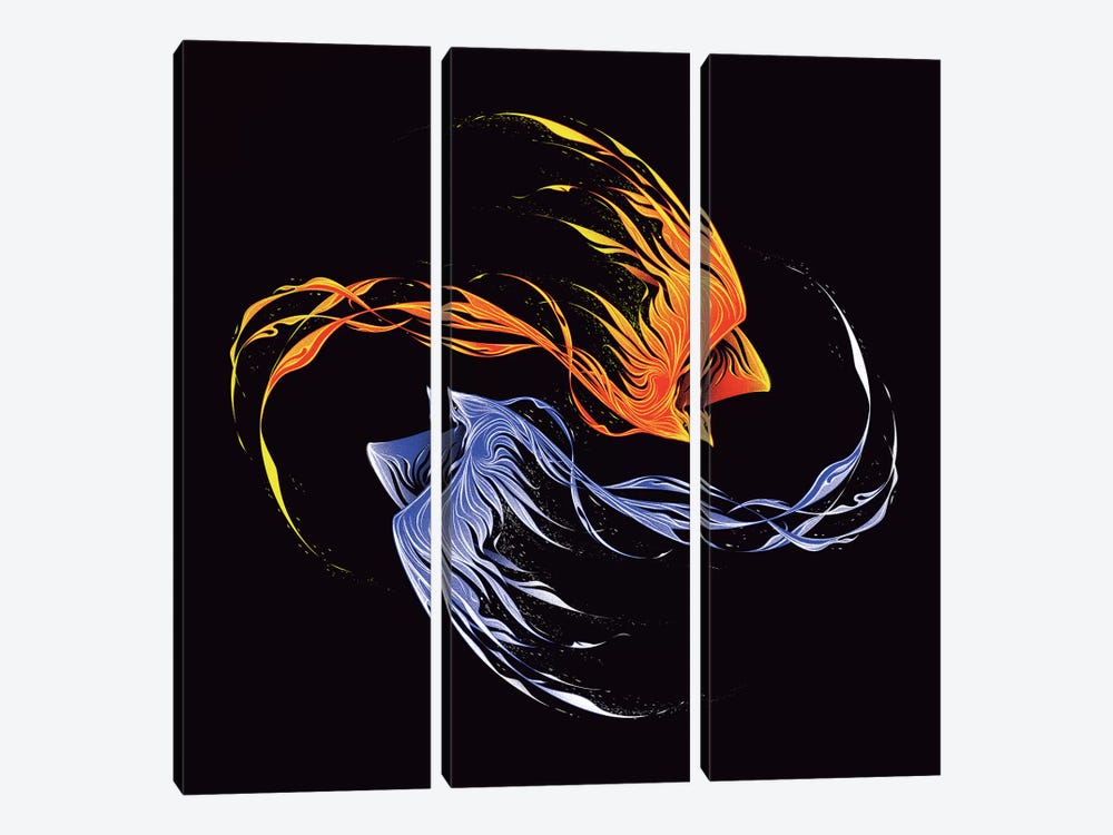 Phoenix Ice And Fire by Tobias Fonseca 3-piece Canvas Artwork