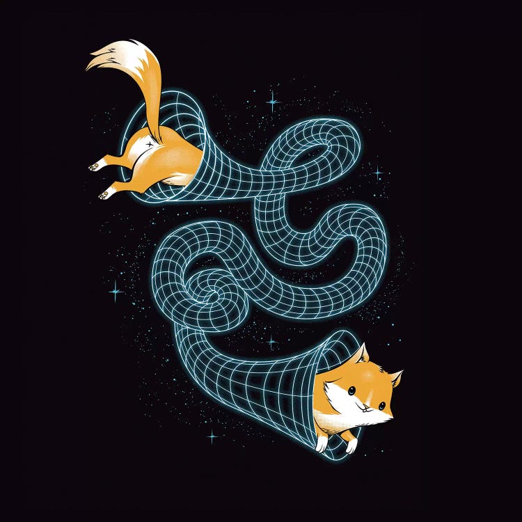 Wormhole Cat