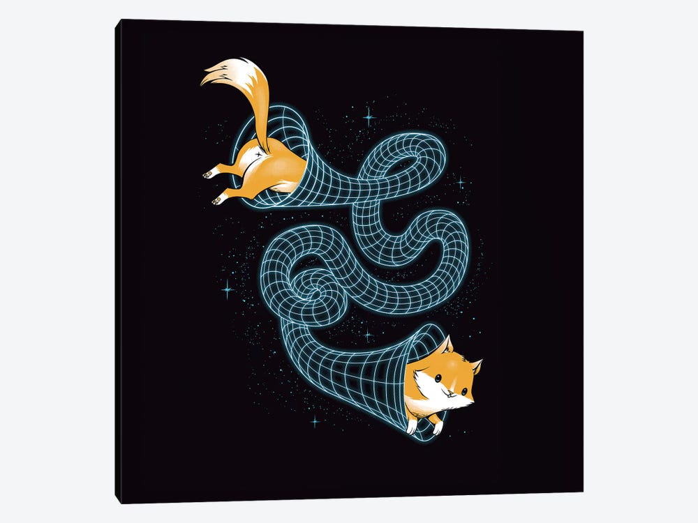 Wormhole Cat by Tobias Fonseca 1-piece Canvas Print