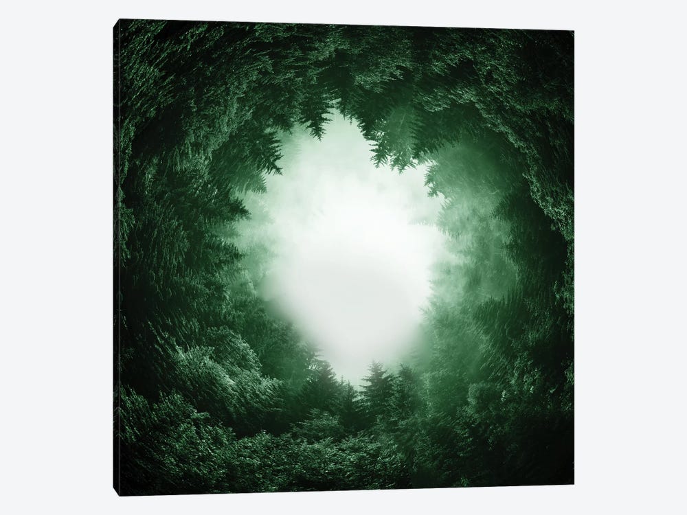 Forest Portal by Tobias Fonseca 1-piece Canvas Artwork